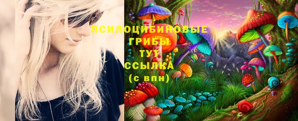 таблы Армянск