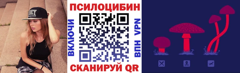хочу наркоту  Магас  Псилоцибиновые грибы Magic Shrooms 
